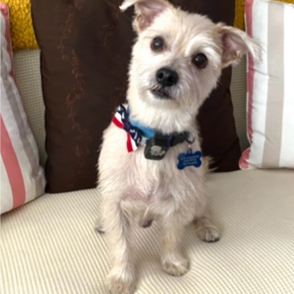 Meet your Posher, Alexander - Picture 4 of 4